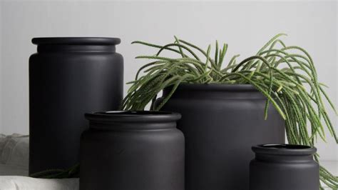 DBKD Plant Pots, Vases & Home Accessories .